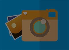 Apex Weed Hub: Education Over Empty Shipping Promises in the Cannabis Industry