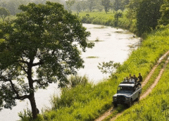 Chitwan Jungle Safari Tours: A 2025 Guide to Nepal’s Premier Wildlife Adventure