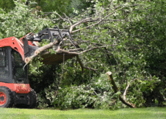 5 Ways Hiring A Professional Tree Removal Service Can Enhance Property Safety 