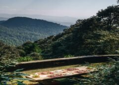 The Best Resorts in Binsar for a Rejuvenating Mountain Escape