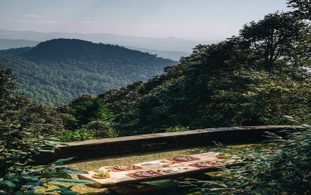 The Best Resorts in Binsar for a Rejuvenating Mountain Escape