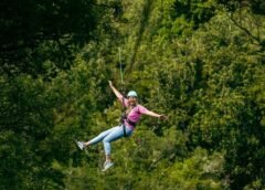 Conquer Your Fears: How Ziplining in New Zealand Transforms Perspective Through Adrenaline-Pumping Adventure