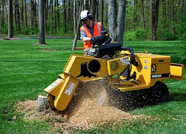 stump grinding gold coast