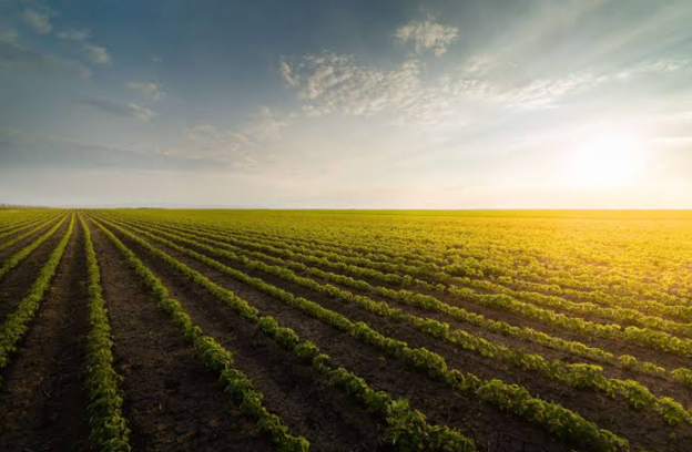 Farm Valuations